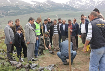 ERZURUM TABYALARI AĞAÇLANDIRILIYOR