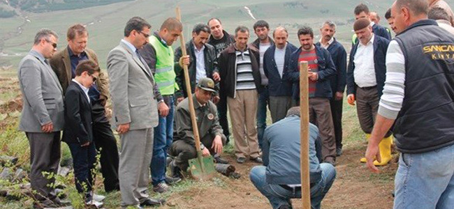 Tabyalar ağaçlandırılıyor
