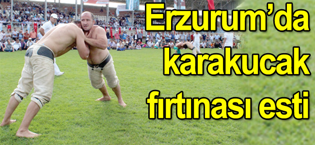 Güreş şöleni