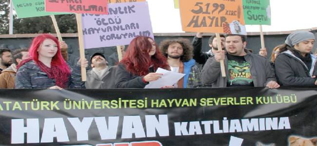 Hayvan cinayetlerine dur de...