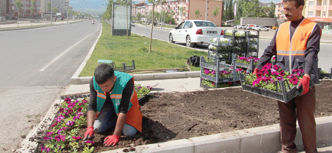 Erzurum rengârenk