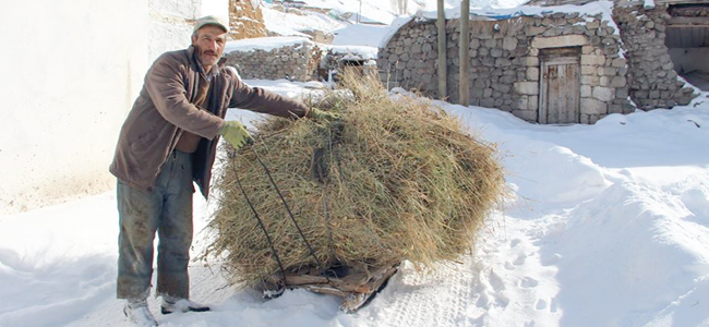 Kızaklı mesai başladı