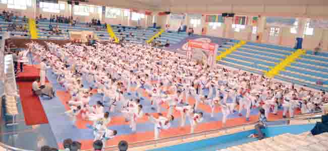 Karate şöleni başladı