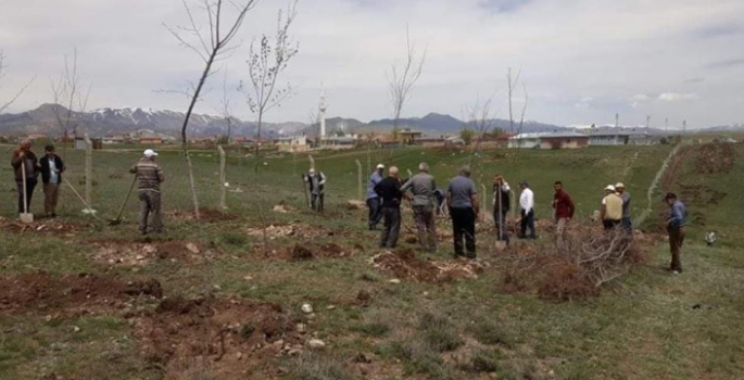 3 bin fidan toprakla buluştu