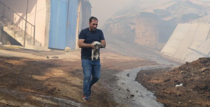Alevlerin içinden kurtardığı kediye can suyu verdi