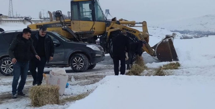 Aşkale'de sokak ve yaban hayvanları beslendi