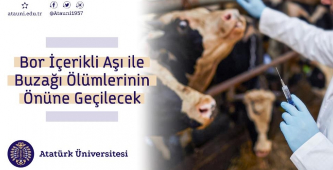 Atatürk Üniversitesinin aşı projesi TÜBİTAK’tan destek aldı