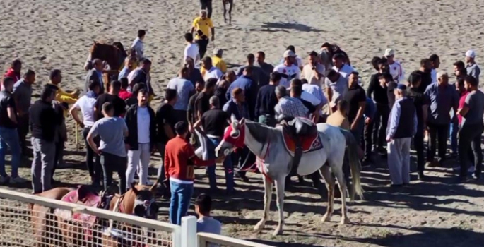 Atlar çarpıştı, ciritçi ölümden döndü