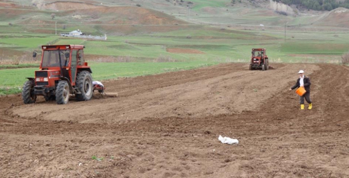 Belediyeden çiftçilere mazot ve traktör desteği