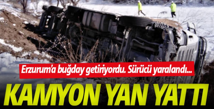 Buğday yüklü kamyon devrildi: 1 yaralı