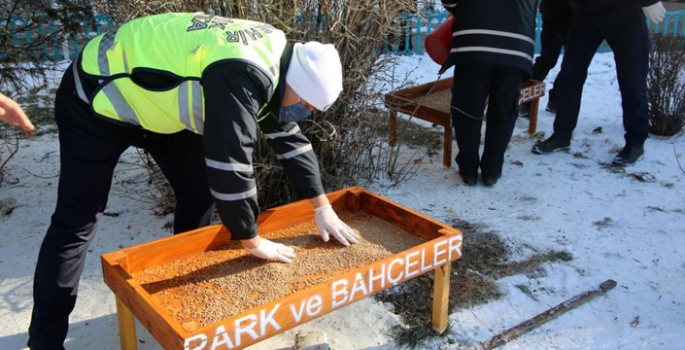 Büyükşehir yaban hayatını korumak için doğaya yem bırakıyor