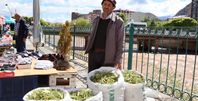 Çaşır piyasaya hızlı girdi