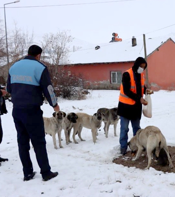 Çat Belediyesi’nden yaban hayata destek