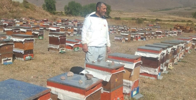 Çatlı arıcılar ayı nöbetinde