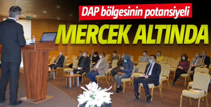 DAP bölgesinin potansiyeli mercek altında