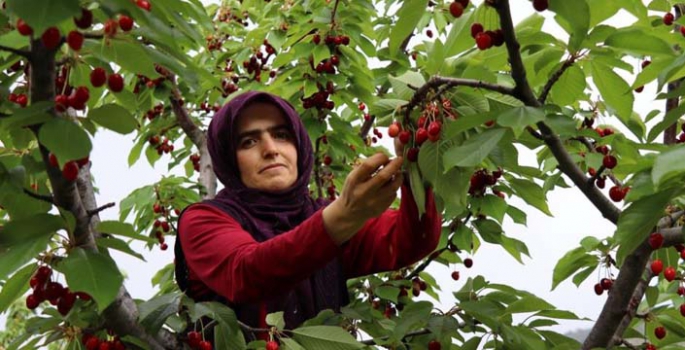 Devlet desteğiyle hayali gerçekleşti