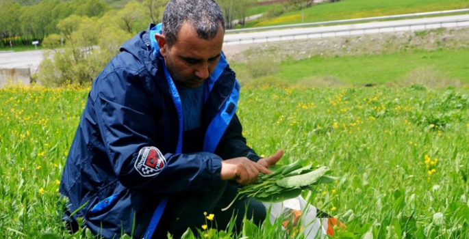 Doğadan sofraya eşsiz lezzetler