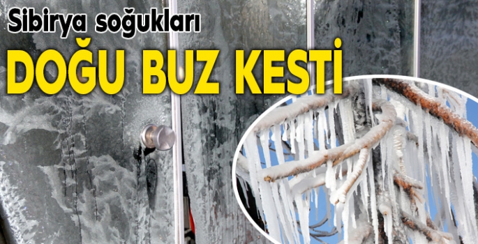 Doğu Anadolu buz kesti