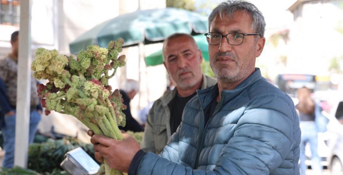 Doğu'nun muzu 'ışkın' tezgahlara indi