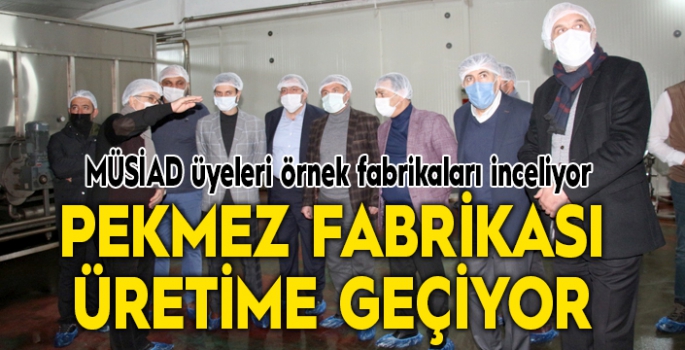 Dut pekmezi fabrikalarını incelediler