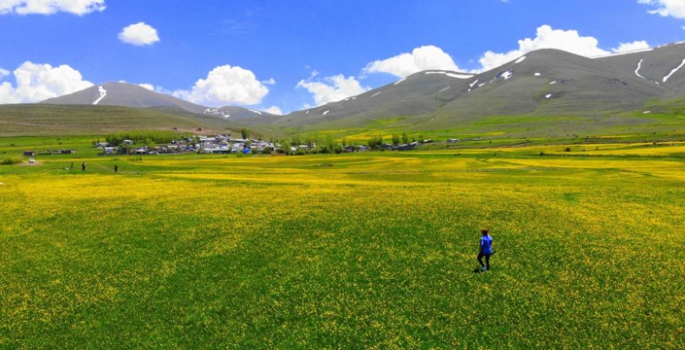 Erzurum çiçek açtı