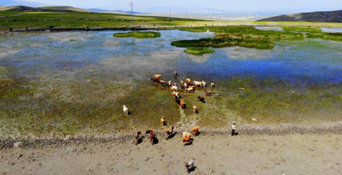 Erzurum'da kuraklık hat safhada, göller bir bir kuruyor