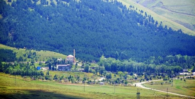 Erzurum’da orman ve ağaçlandırma alanlarına özel koruma talimatı