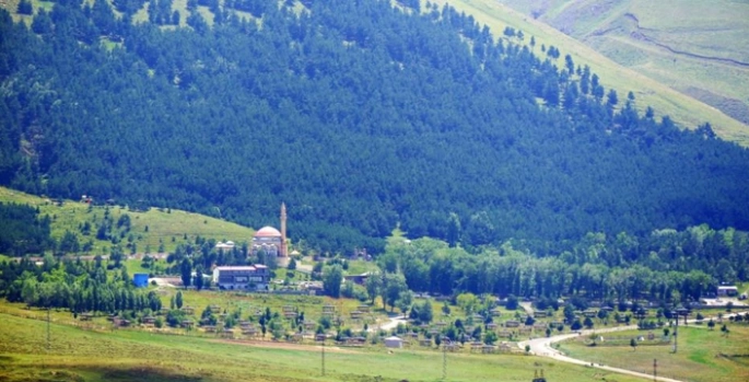 Erzurum’da ormanlara giriş yasaklandı