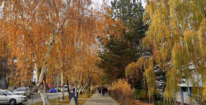 Erzurum’da sonbahar manzaraları cezbediyor