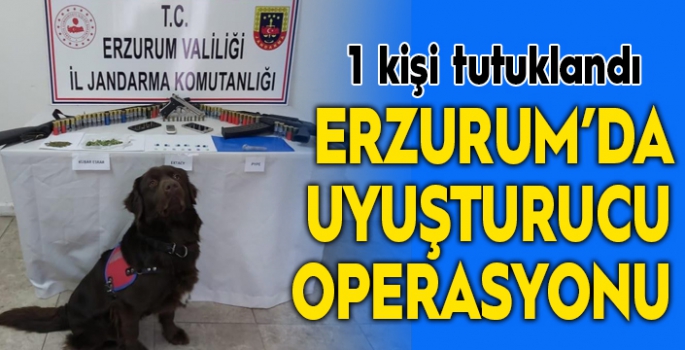 Erzurum’da uyuşturucu operasyonu: 1 tutuklama