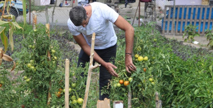 Erzurum’da yetişmez denilen sebzeyi 2 bin rakımda yetiştirdi