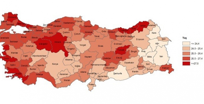 Erzurum doğum istatistikleri açıklandı