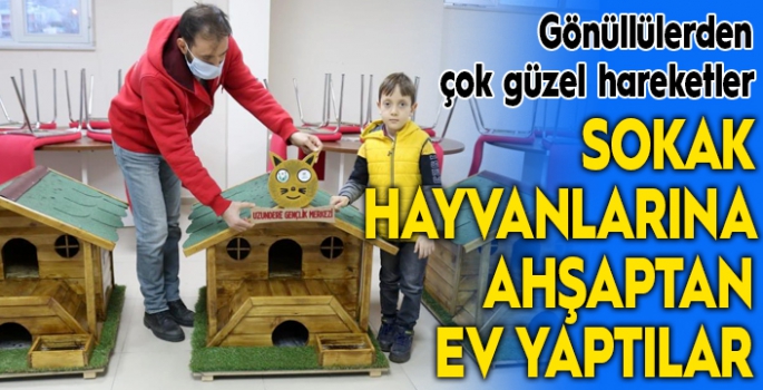 Gönüllüler sokak hayvanlarına ahşaptan ev yaptılar