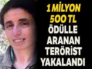 1 milyon 500 bin TL ödülle Mavi Kategori'de aranan terörist kırsalda yakalandı