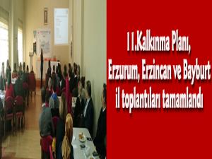 11. Kalkınma Planı Erzurum, Erzincan ve Bayburt il toplantıları tamamlandı