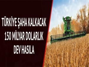 150 milyar dolarlık hasıla için dev reform