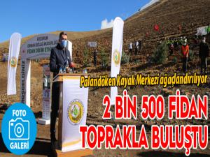 2 bin 500 fidan toprakla buluştu