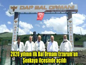 2020 yılının ilk Bal Ormanı Erzurumun Şenkaya ilçesinde açıldı.