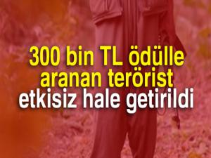 300 bin TL ödülle aranan terörist etkisiz hale getirildi