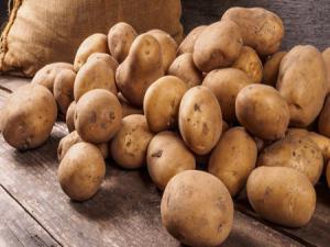 400 bin ton patates tehlikede! 'Daha fazla tüketin'