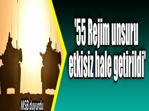 '55 Rejim unsuru etkisiz hale getirildi'