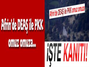Afrinde DEAŞ ile PKK omuz omuza