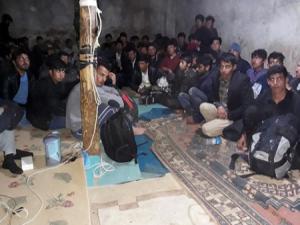 Ağrı'da göçmen kaçakçılığı operasyonu: 10 gözaltı