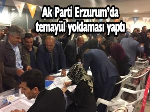 AK Parti Erzurum milletvekili aday adayları için temayül yoklaması yaptı