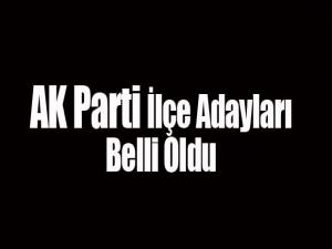 AK Parti İlçe Adayları Belli Oldu