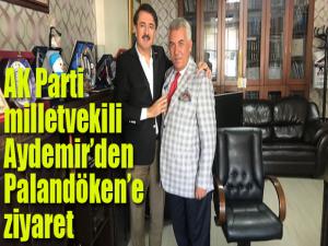 AK Parti milletvekili Aydemirden Palandökene ziyaret