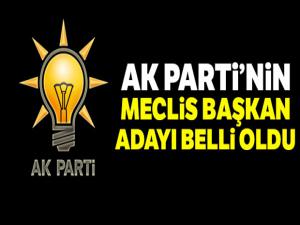 AK Parti'nin Meclis Başkan adayı belli oldu !