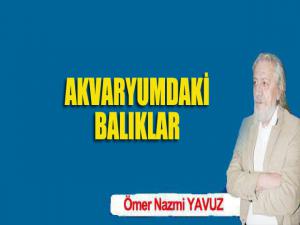 AKVARYUMDAKİ BALIKLAR