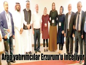 Arap yatırımcılar Erzurumu inceliyor