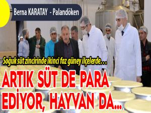 Artık süt de para ediyor hayvan da